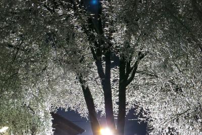 雨氷の幻想２
