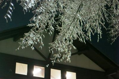 雨氷の幻想３