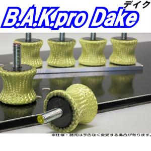 BAKproDake登場